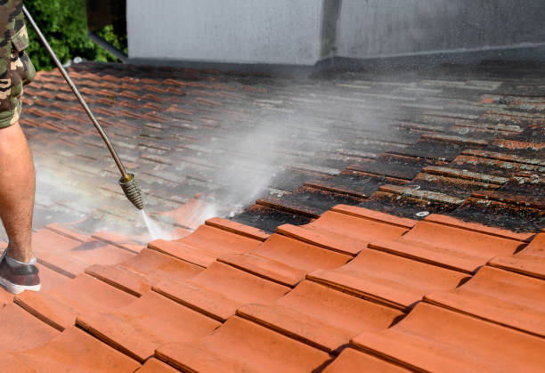 Best Affordable Power Washing  in Oakdale, MN